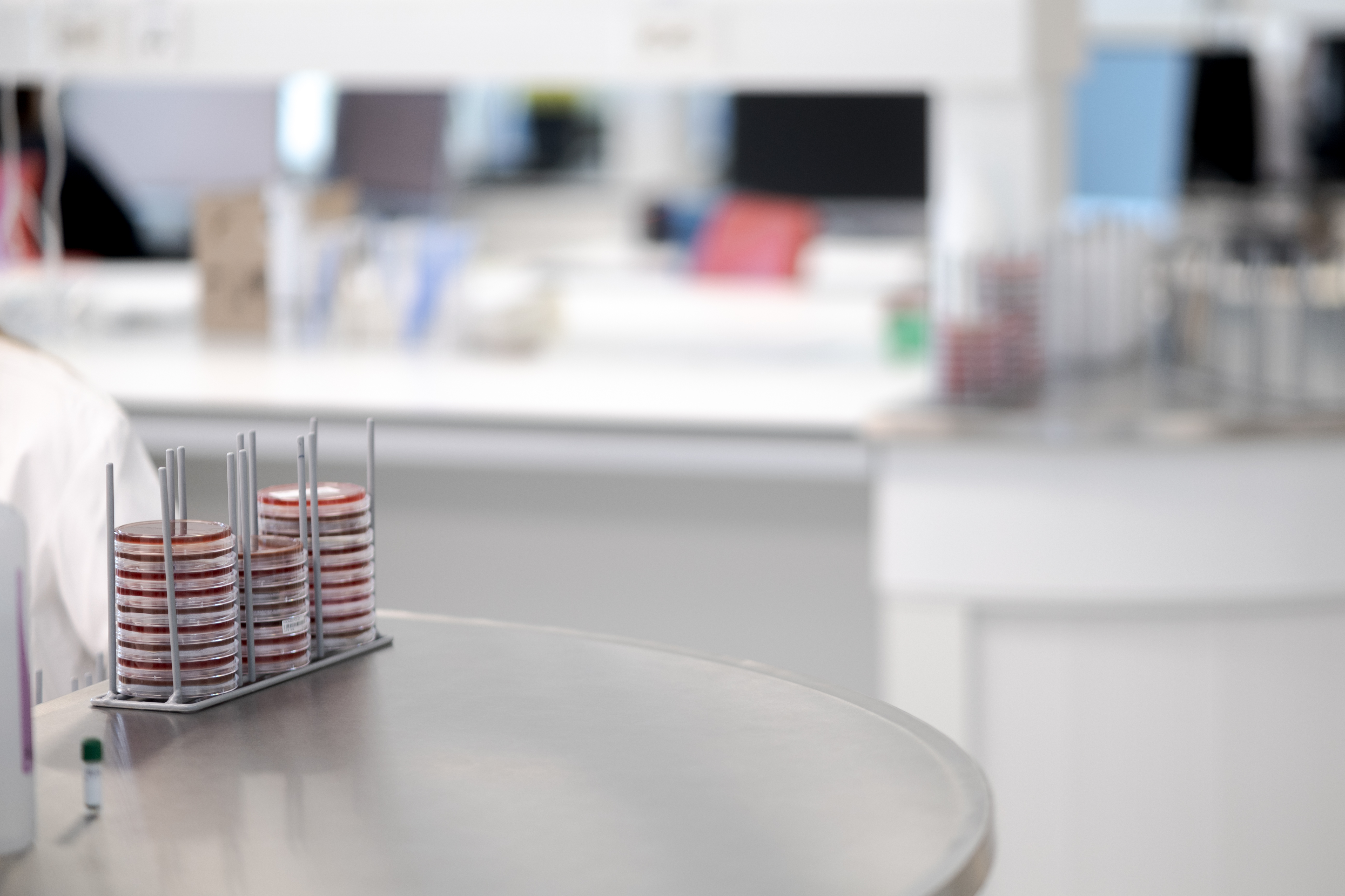 Laboratoiremiljø med prøveskåler