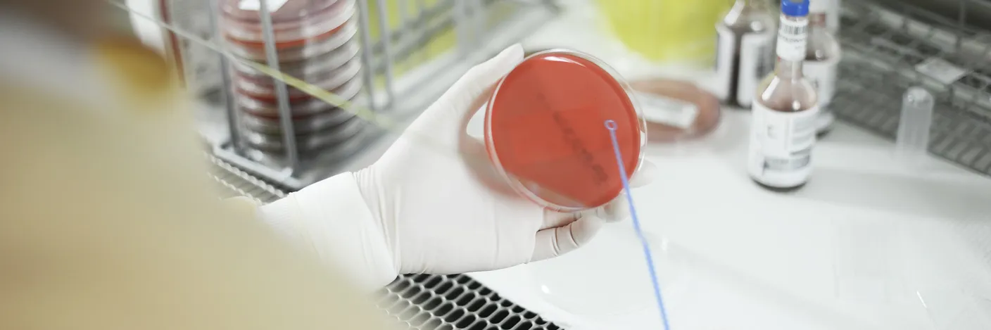 Hender jobber med laboriatorieutstyr