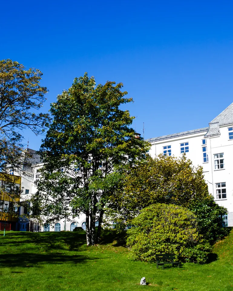 Bygningar ved et sjukehus
