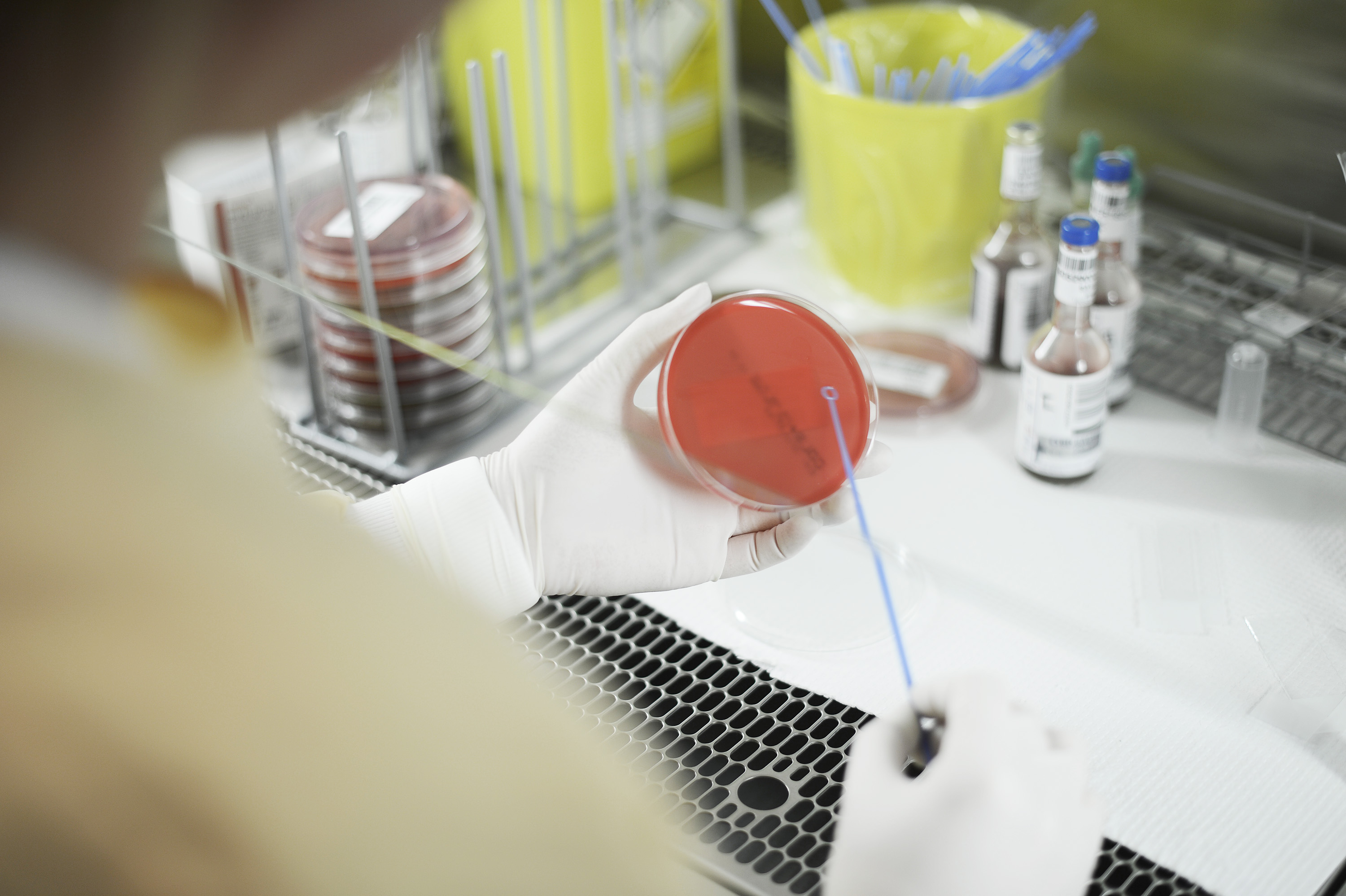 Nærbilde av hender som bruker laboratorieutstyr