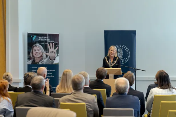 En person som snakker til en gruppe mennesker i et rom