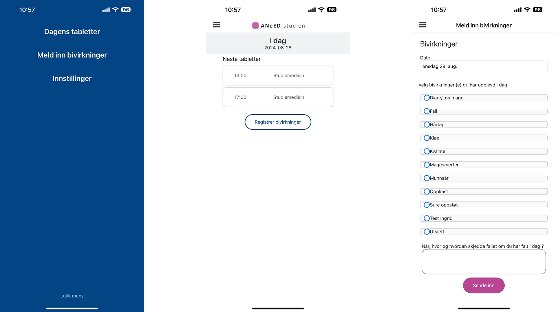 Grafisk brukergrensesnitt, applikasjon