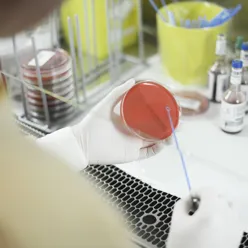 Laboratorieverksemd. (Foto)