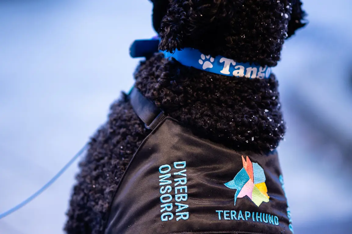 Terapihund Tango 2021 - foto Eirik Dankel_10.jpg